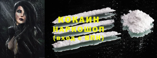 spice Алзамай