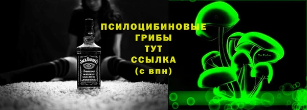 spice Алзамай