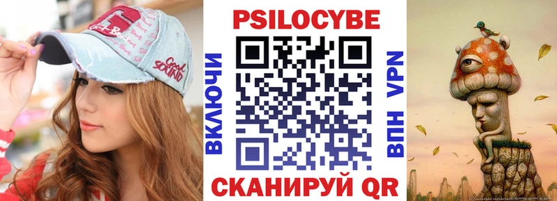 купить цена Топки Псилоцибиновые грибы Cubensis